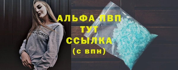 дмт Абаза