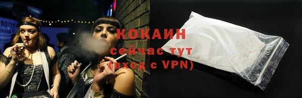 дмт Абаза