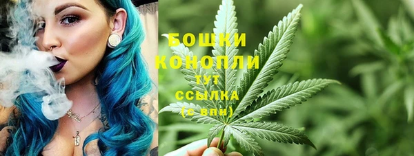 дмт Абаза