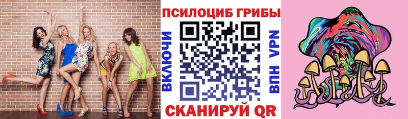 Галлюциногенные грибы Cubensis Стерлитамак