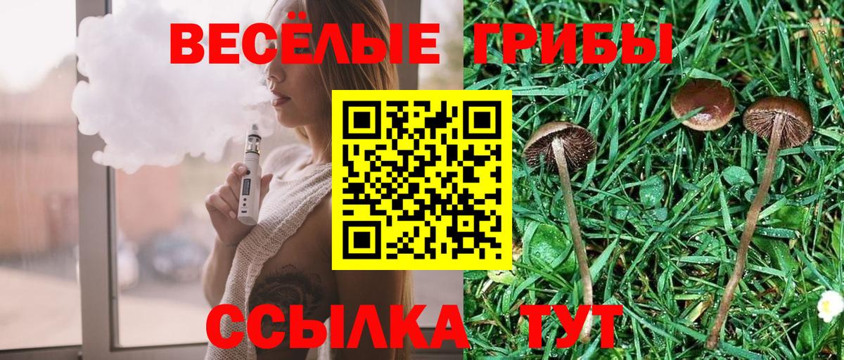 Галлюциногенные грибы GOLDEN TEACHER Стерлитамак
