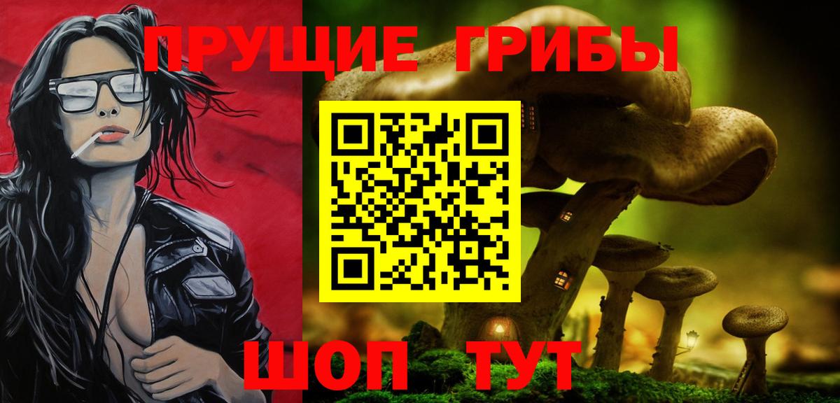 Псилоцибиновые грибы ЛСД  Галлюциногенные грибы ЛСД  Вход с VPN  магазин    Стерлитамак 